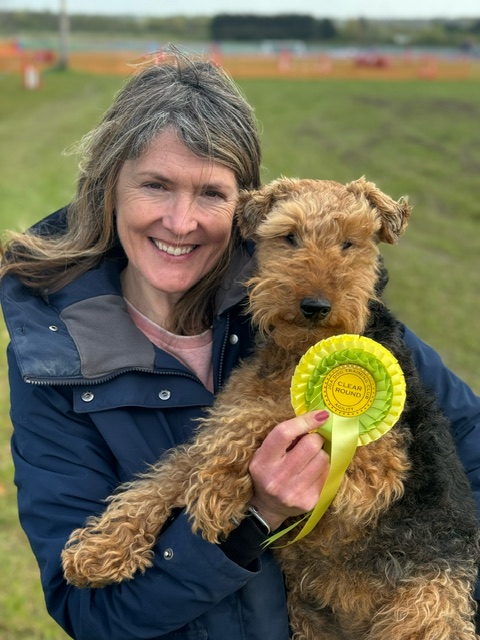 Welsh Terrier doing agility training